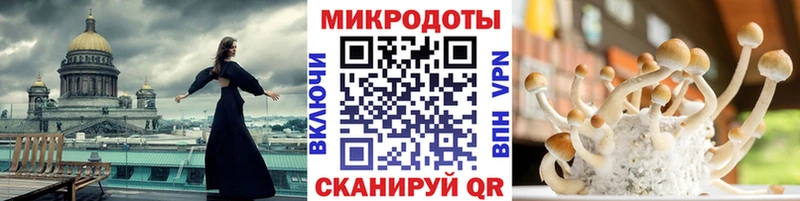 mega маркетплейс  Корсаков  Галлюциногенные грибы Psilocybe  купить наркотик 